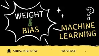 Weight & Bias Explained Simply | Machine Learning Basics in Bangla