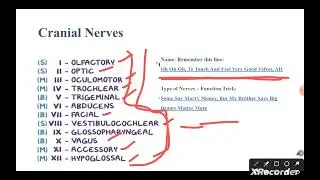 Cranial Nerve #tricks # learn #medical #neet #B.pharma #d.pharm