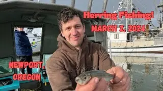 Herring Fishing In A Hailstorm And Finding A New Friend.  #herring #fishing #newport