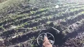 Поиск клада на краю леса / Schatzsuche am Waldesrand
