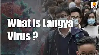 What is Langya Henipavirus ? | Another virus &lsquo;Zoonotic Langya&rsquo; found in China
