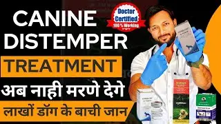 Canine Distemper Treatment At Home In Dogs | Symptoms | Recovery | Dog Distemper Treatment In Hindi