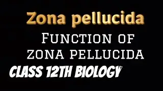 Zona Pellucida || Function of Zona Pellucida || #science #reproductive #biology #cbse