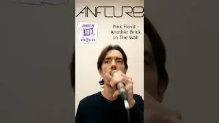 Another brick in the wall | Anflure