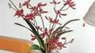 Looking for SILK FLOWER? Yes, SILK FLOWER. It's all here!