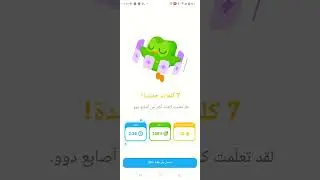 Duolingo language learning app