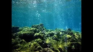 Isla y Vuelta-Dominica Revisited