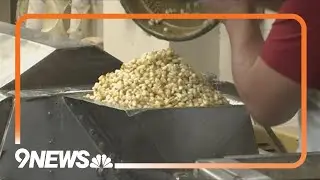 The historical and cultural context behind corn among Hispanic communities