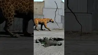 28 July, Allah Hu Akbar #shortvideo #youtubeshorts #trending #viralvideo #vfx #animals #subscribe
