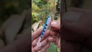 Soft Lure Hooking Techniques That Work!