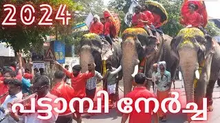 Pattambi nercha 2024. പട്ടാമ്പിക്കാരുടെ ദേശിയോത്സവം പട്ടാമ്പി നേർച്ച 2024