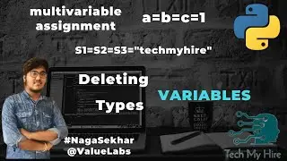 Multi-Variable assignment in python | Type of Variables | Deleting variables in python