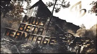 Homesick - MWIII Beta Teamtage