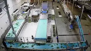 CraftAg incoming hemp processing line first tune