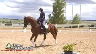 Dressage Training by Lars Petersen on Improving the Connection