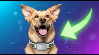 TOP 5 Best Smart Dog Collars 2026 | Track Your Dog's Activity, Location, and More