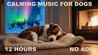 12 HOURS 🌨️ Snowfall & Sleeping Dog | Ultra Cozy Winter Calm