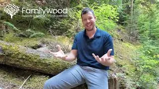 Familywood Individual Counselling for Families Affected by Addiction