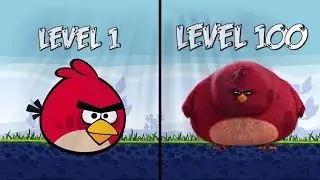 Epic Angry Birds Trickshots