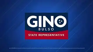 Gino Bulso Town Hall Episode 2