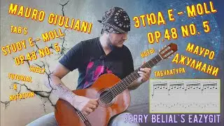 Этюд op. 48 № 5 / М. Джулиани / Разбор / Mauro Giuliani / Etude e - moll op.48 no.5 / Sheet & TAB's