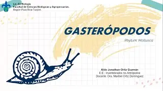 Clase: Gaster&oacute;podos | Filo: Mollusca | Invertebrados | Aldo Jonathan Ortiz Guzm&aacute;n.