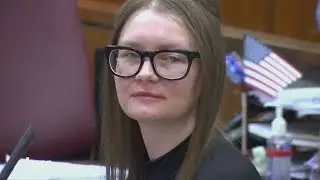 Vom GEFÄNGNIS in TV: Anna Delvey - vom Gerichtssaal ins Rampenlicht