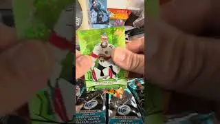 Pack A Day RIP#345   UD Ice Hobby Box 11 of 12   Redemption of the Top Rookie but expired
