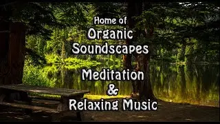 Organic Soundscapes Healing Meditation Relaxing Music.