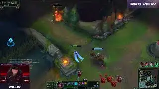 Calix Taliyah Pro View | FOX vs NS | LCK 2024 Spring