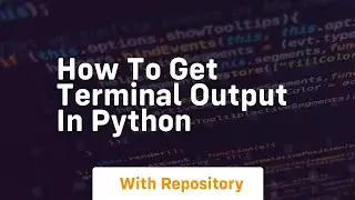 How to get terminal output in python