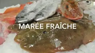 CBM Filetage - Mareyeur &agrave; Boulogne sur Mer