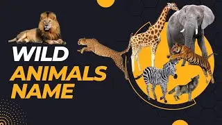 Learn Wild Animals name | Forest Animals name | Kids educational videos | @toddlerclasses