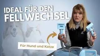 WER NUTZT SOWAS? Ein Staubsauger für Hund & Katze 🐶🐱