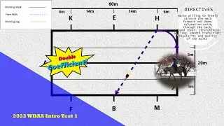 WDAA 2022 WESTERN DRESSAGE INTRODUCTORY LEVEL TEST 1
