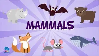 Animales mamíferos en inglés | Vídeos Educativos para Niños. Aprende inglés
