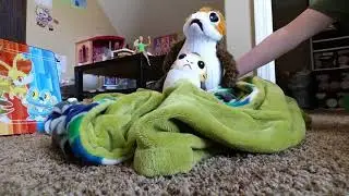 The life of a Porg