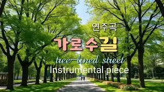 🎻가로수 길/연주곡..(tree-lined street)