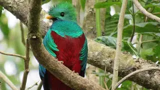 SAVEGRE HOTEL NATURAL RESERVE & SPA - COSTA RICA - A NATURE WONDERLAND