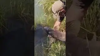 A beautiful days fishing
