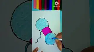 #shorts #drawing #wool