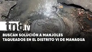 Manjoles taqueados y basura afectan a pobladores del Distrito VI de Managua