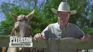 Dale Peterson for Ag Commish:  Quite possibly the best political ad ever.