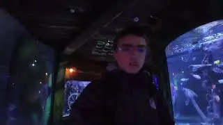 Sealife Centre Manchester January Vlog