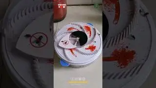Amazing Housefly Trap 🪰