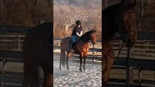 Bruno was SOOO perfect today!!