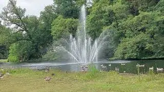 Arnhem: zicht op de Fonteinvijver in het Park Sonsbeek met werkende fontein en ganzen (13 juni 2024)