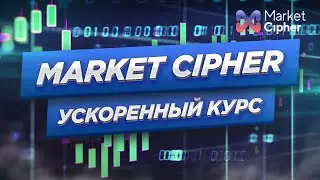Crypto Face и Debate Crypto - Ускоренный курс по Market Cipher