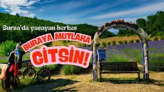 Bursa Merkeze 25 Dk Mesafede - Devapi Lavanta Bahçesi