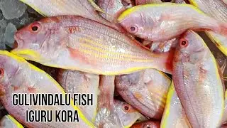 Gulivindalu fish gravy curry | గులివిందలు చేపల ఇగురు కూర|Red snapper fish curry|Sankara fish recipe😋